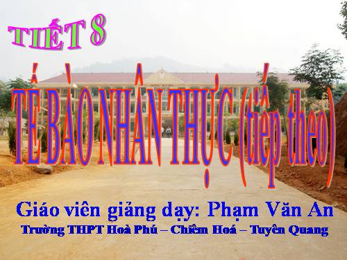 Bài 9. Tế bào nhân thực (tiếp theo)