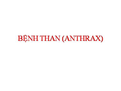 bệnh than