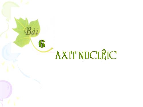 Bài 6. Axit nuclêic