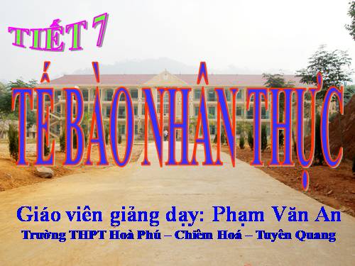 Bài 8. Tế bào nhân thực