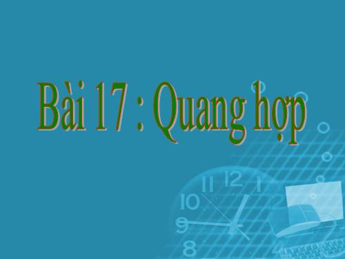 Bài 17. Quang hợp