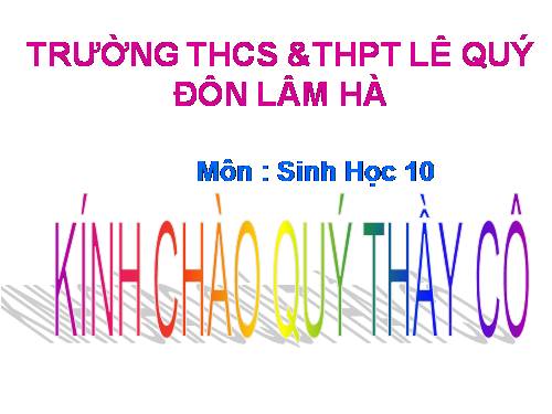 Bài 16. Hô hấp tế bào