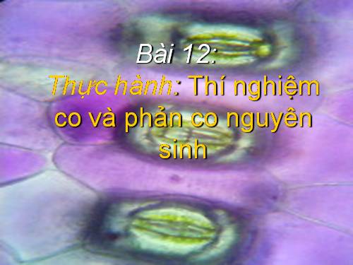 Bài 12. Thực hành: Thí nghiệm co và giảm co nguyên sinh