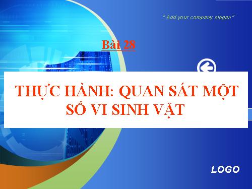 Bài 28. Thực hành: Quan sát một số vi sinh vật