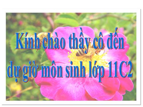 Bài 26. Sinh sản của vi sinh vật