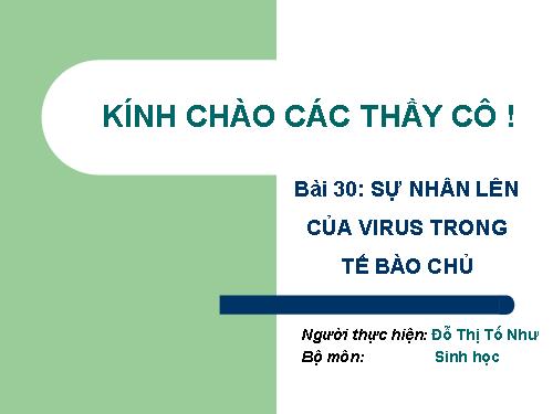 Bài 30. Sự nhân lên của virut trong tế bào chủ