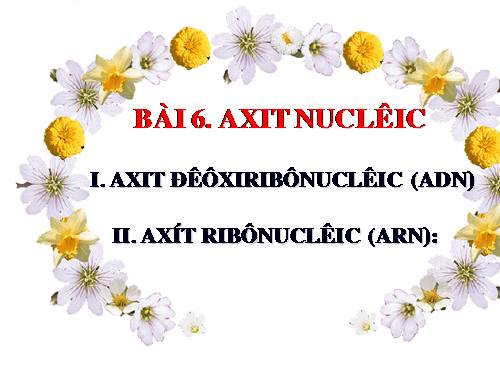 Bài 6. Axit nuclêic