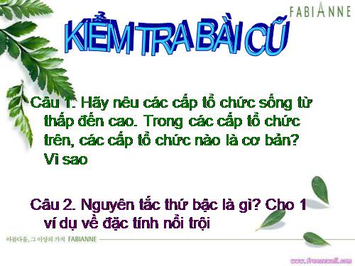 Bài 2. Các giới sinh vật