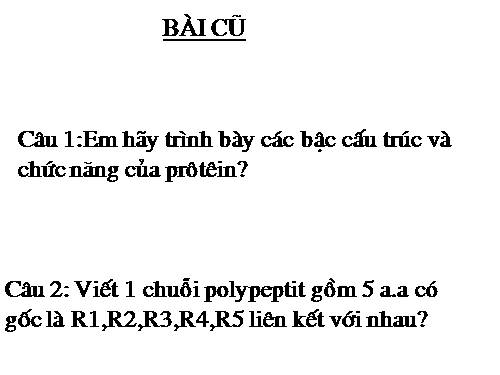 Bài 6. Axit nuclêic