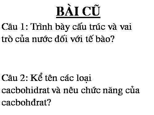 Bài 4. Cacbohiđrat và lipit