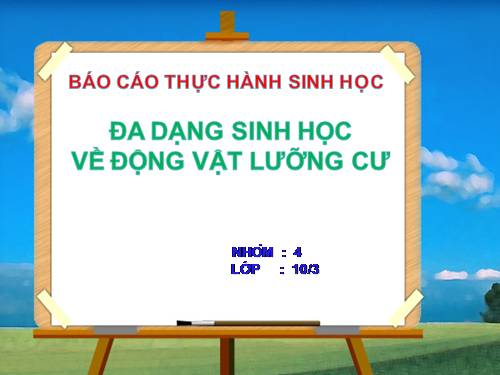 Báo cáo thực hành về động vật lưỡng cư