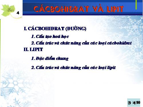 Bài 4. Cacbohiđrat và lipit