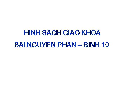 Hình sgk bài 18 nguyên phân