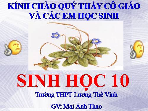 Bài 14. Enzim và vai trò của enzim trong quá trình chuyển hóa vật chất