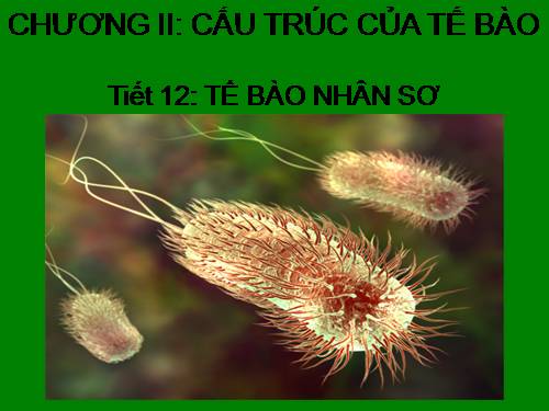 Bài 7. Tế bào nhân sơ