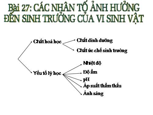 Bài 27. Các yếu tố ảnh hưởng đến sinh trưởng của vi sinh vật