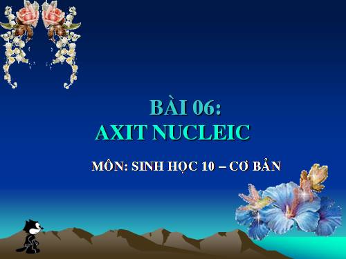 Bài 6. Axit nuclêic