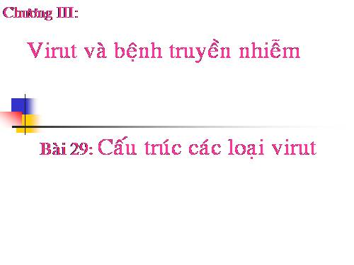 Bài 29. Cấu trúc các loại virut