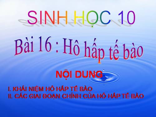 Bài 16. Hô hấp tế bào