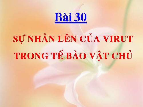 Bài 30. Sự nhân lên của virut trong tế bào chủ