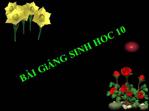 Bài 26. Sinh sản của vi sinh vật