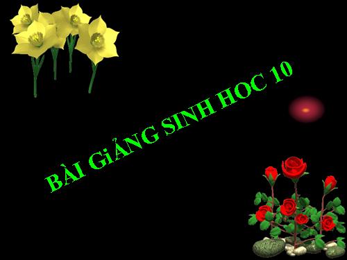 Bài 26. Sinh sản của vi sinh vật