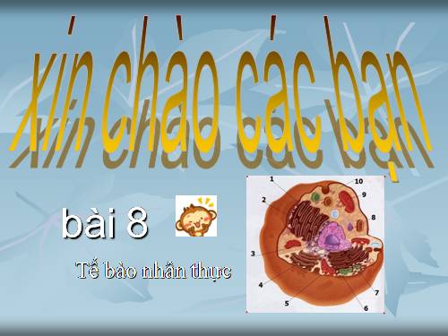 Bài 8. Tế bào nhân thực