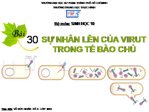 Bài 30. Sự nhân lên của virut trong tế bào chủ