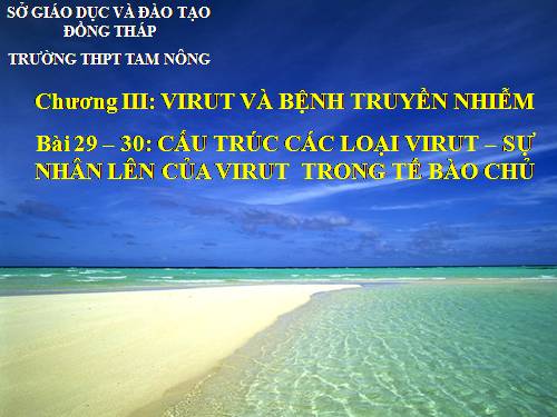 Bài 29. Cấu trúc các loại virut