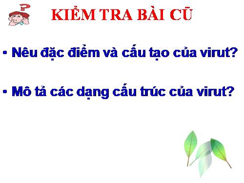 Bài 30. Sự nhân lên của virut trong tế bào chủ