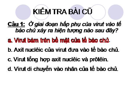 Bài 31. Virut gây bệnh, ứng dụng của virut trong thực tiễn