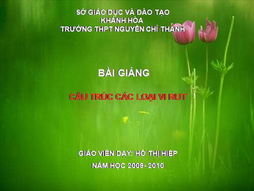 Bài 29. Cấu trúc các loại virut