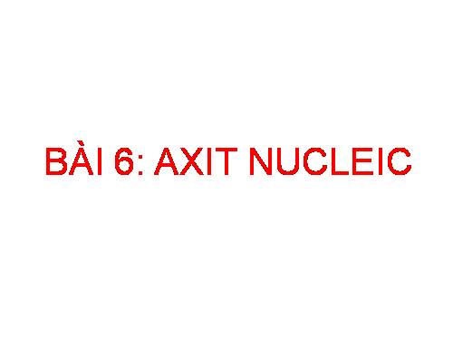 Bài 6. Axit nuclêic