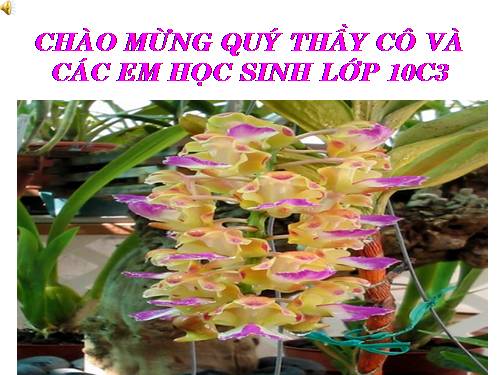 Bài 27. Các yếu tố ảnh hưởng đến sinh trưởng của vi sinh vật