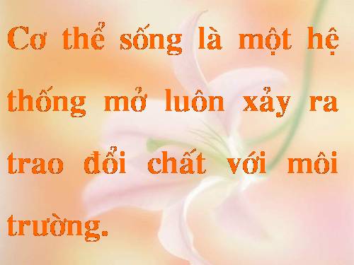 bai giảng tiêu hóa