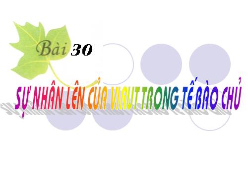 Bài 30. Sự nhân lên của virut trong tế bào chủ