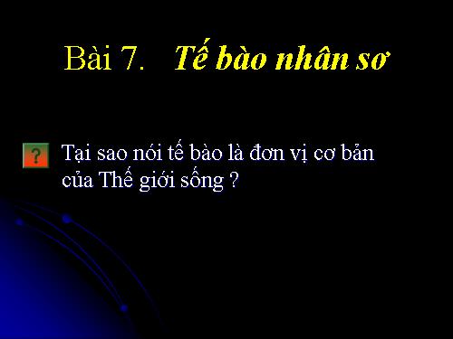 Bài 7. Tế bào nhân sơ