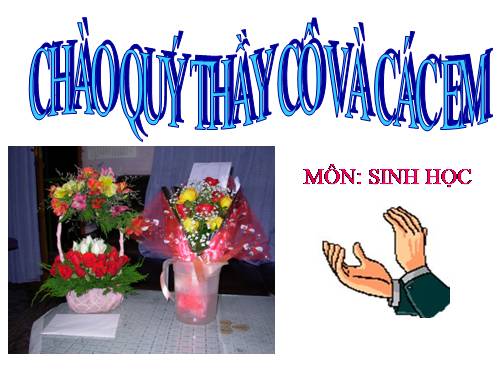 Bài 26. Sinh sản của vi sinh vật