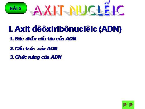 Bài 6. Axit nuclêic