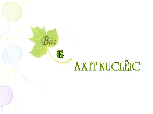 Bài 6. Axit nuclêic