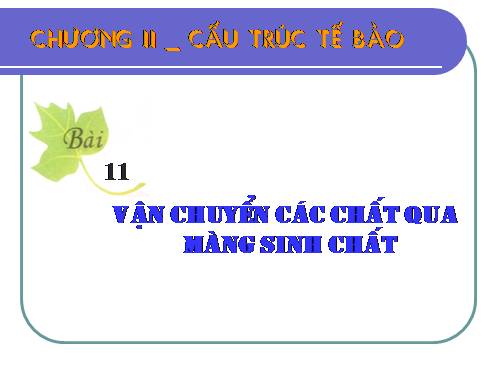 Bài 11. Vận chuyển các chất qua màng sinh chất