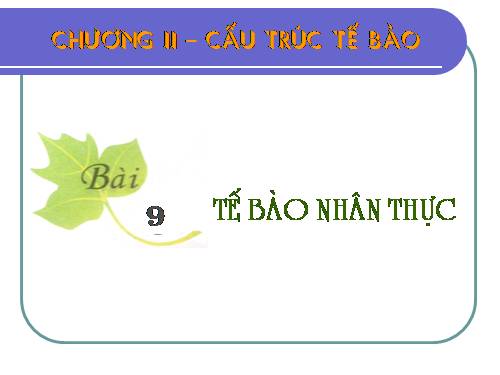 Bài 9. Tế bào nhân thực (tiếp theo)