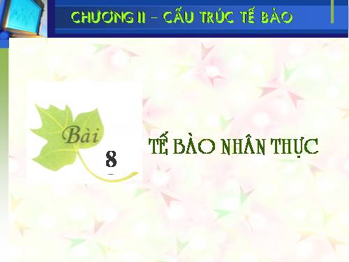 Bài 8. Tế bào nhân thực