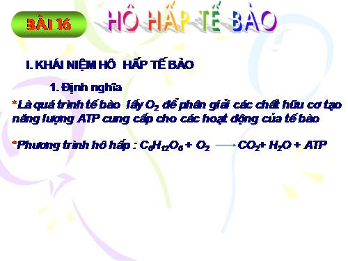 Bài 16. Hô hấp tế bào