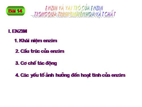 Bài 14. Enzim và vai trò của enzim trong quá trình chuyển hóa vật chất