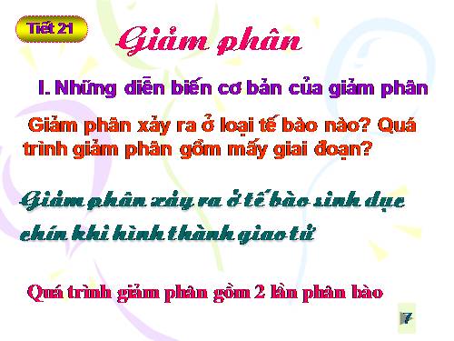 Bài 19. Giảm phân