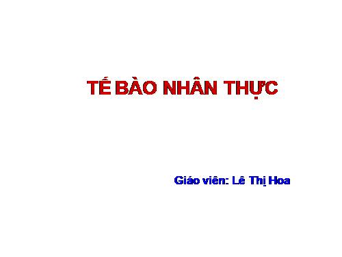 Bài 8. Tế bào nhân thực