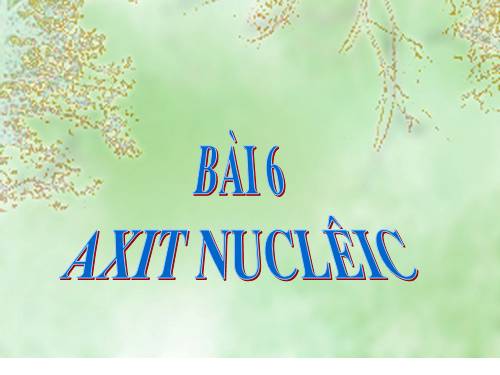 Bài 6. Axit nuclêic