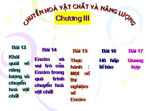 chương 3. Chuyển hóa vật chất và năng lượng