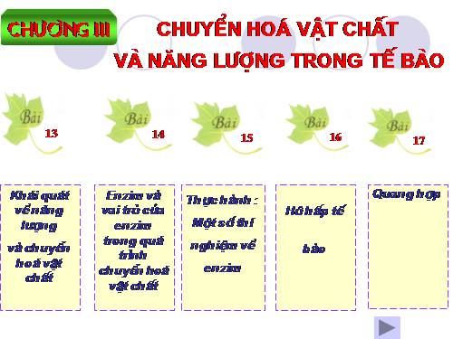 Bài 13. Khái niệm về năng lượng và chuyển hóa vật chất